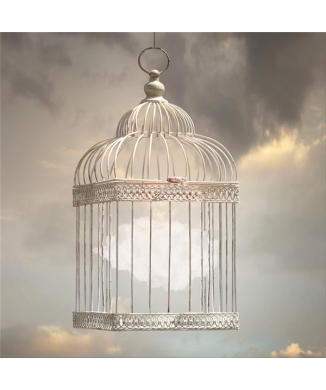 Marco FLY G2954 PINTDECOR