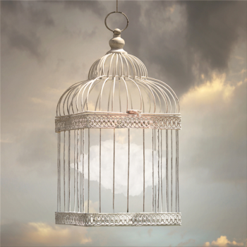 Marco FLY G2954 PINTDECOR