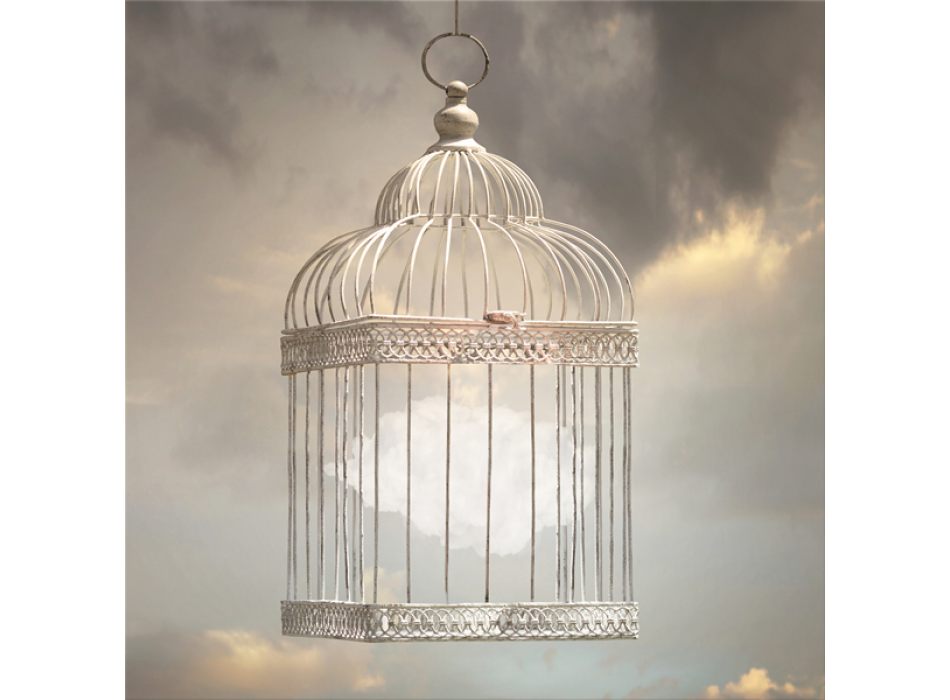 Marco FLY G2954 PINTDECOR