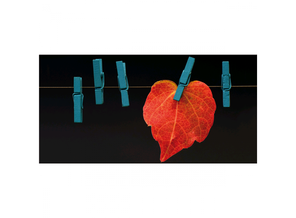 Pintura HOJA EXTENDIDA G5806 PINTDECOR