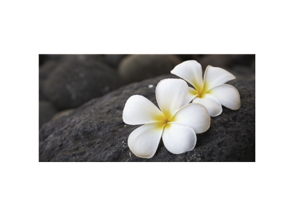 Marco FRANGIPAN G2620 PINTDECOR