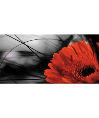 Marco GERBERA ROJO G2512 PINTDECOR