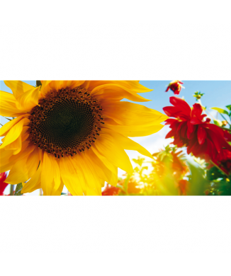 Marco AMARILLO Y ROJO G1118 PINTDECOR