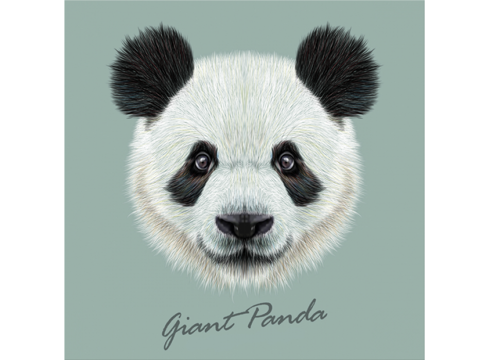 Marco PANDA GIGANTE G3382 PINTDECOR