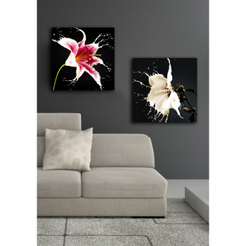 Marco LIRIO ROJO G1962 PINTDECOR