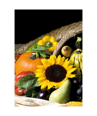 Cuadro GIRASOL G2752 PINTDECOR