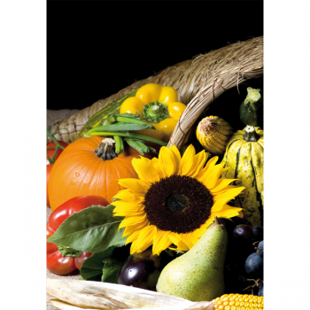 Cuadro GIRASOL G2752 PINTDECOR