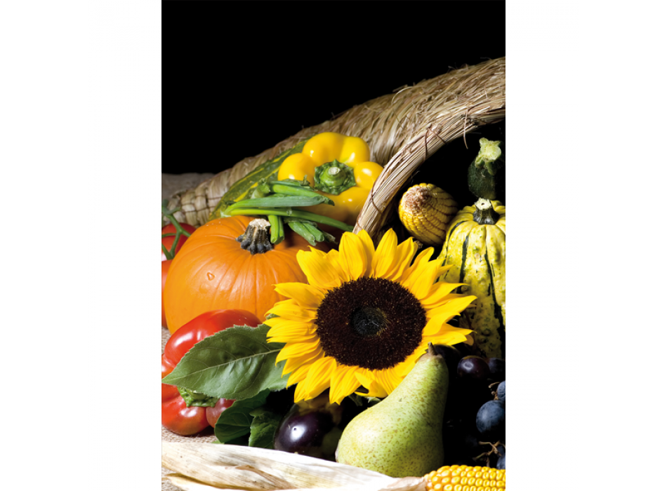 Cuadro GIRASOL G2752 PINTDECOR