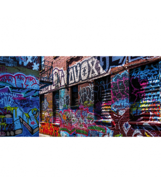 Cuadro GRAFFITI 2 G1310 PINTDECOR