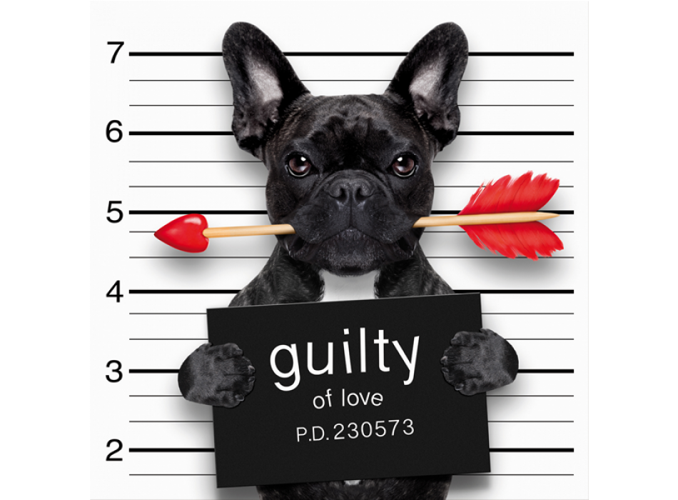 Marco CULPABLE G3358 PINTDECOR