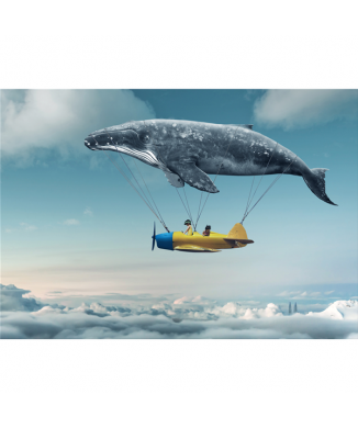 Póster EL MAR EN EL CIELO G3362 PINTDECOR