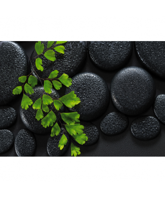 Póster VERDE Y NEGRO G2270 PINTDECOR