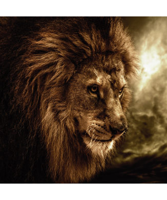 Marco REY G1526 PINTDECOR