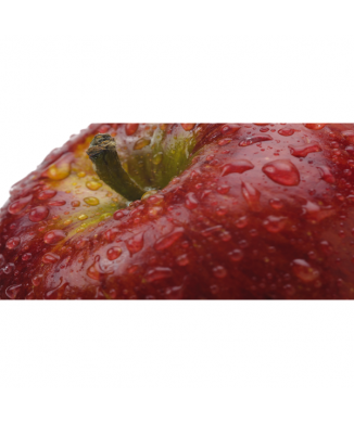 Marco LA MANZANA G1876 PINTDECOR