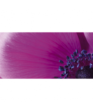 Marco MACRO G1910 PINTDECOR