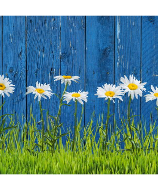 Marco MARGARITAS EN EL PRADO G1936 PINTDECOR