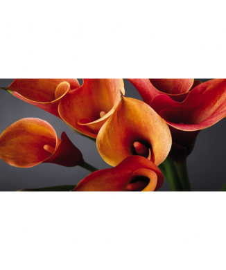 Cuadro MANOJO DE CALLE G1914 PINTDECOR