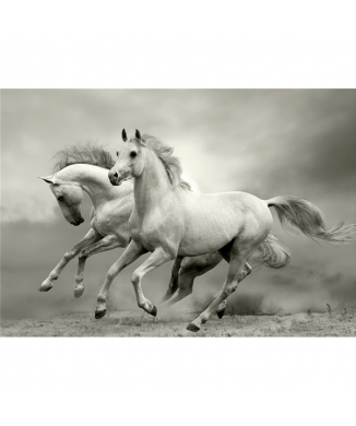 Marco MUSTANG G3302 PINTDECOR