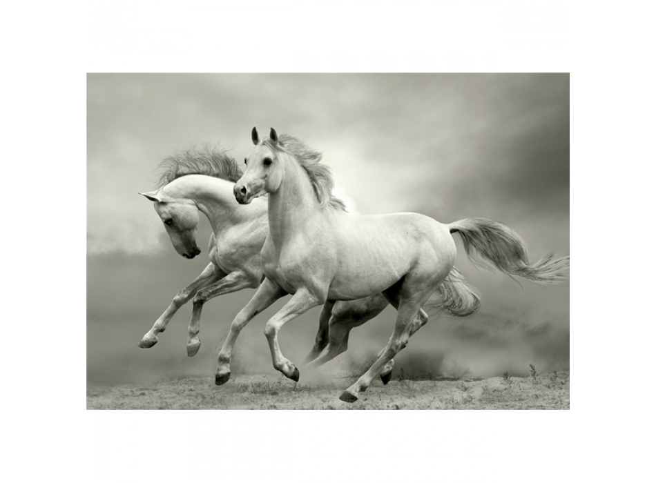 Marco MUSTANG G3302 PINTDECOR