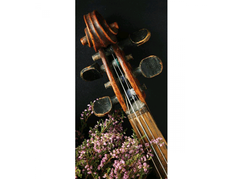 Marco NOTAS FLOR G4040 PINTDECOR