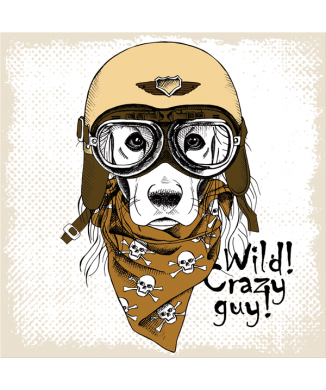 Marco NUVOLARI G3378 PINTDECOR