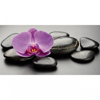 Cuadro ORQUIDEA LILA G2264 PINTDECOR