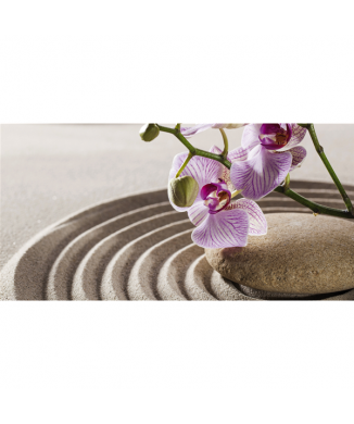 Cuadro ORQUIDEA ZEN G2258 PINTDECOR