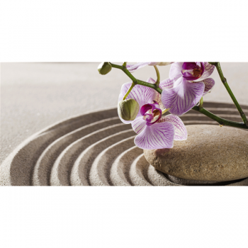 Cuadro ORQUIDEA ZEN G2258 PINTDECOR