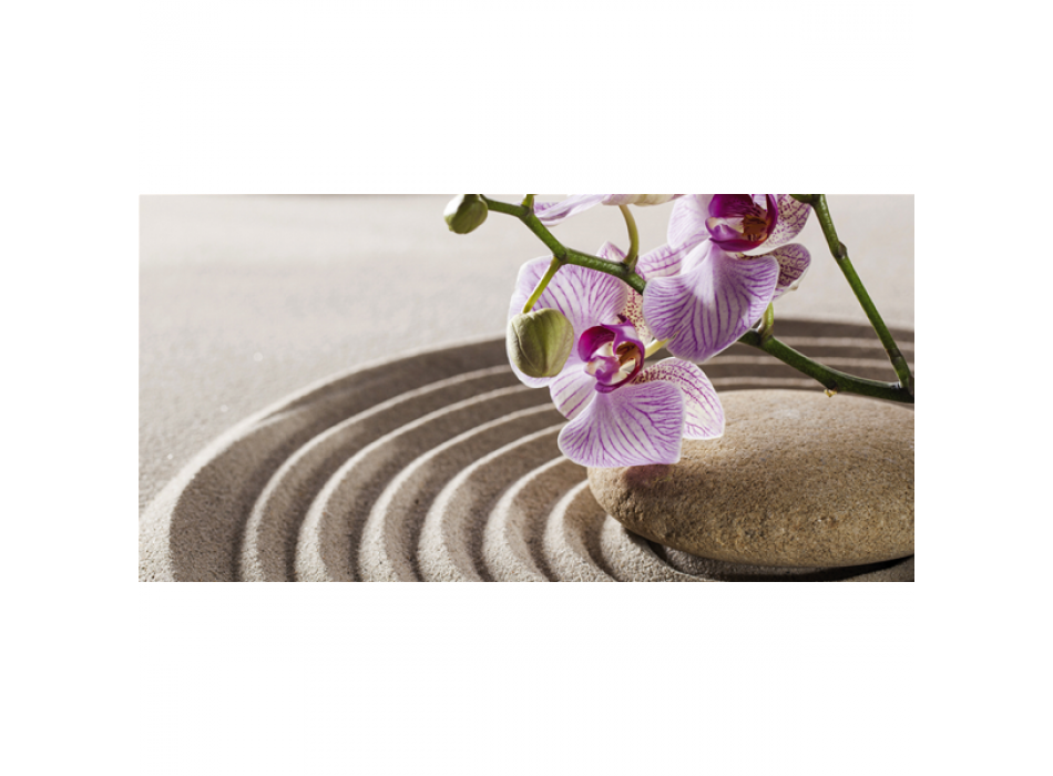 Cuadro ORQUIDEA ZEN G2258 PINTDECOR