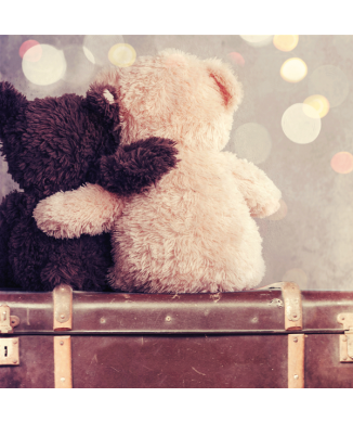 Marco BEARS ON THE GO G1604 PINTDECOR