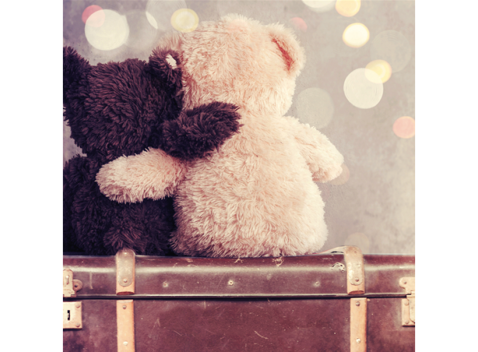 Marco BEARS ON THE GO G1604 PINTDECOR