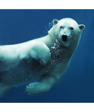 Marco OSO G1554 PINTDECOR