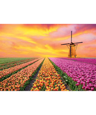 Marco PAISAJES HOLANDA G4130 PINTDECOR