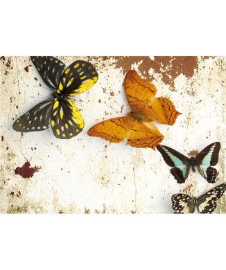 Marco PAPILLONS G3352 PINTDECOR