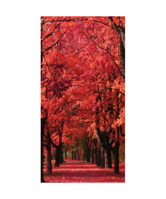 Marco PASEO DE OTOÑO G4122 PINTDECOR