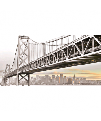 Marco PUENTE DE HIERRO G4184 PINTDECOR