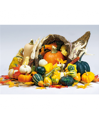 Cuadro LUCKY G2686 PINTADECOR