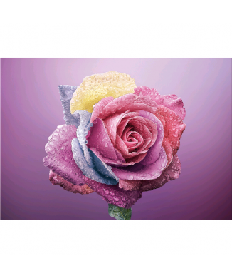 Marco COLOR ROSA G5268 PINTDECOR