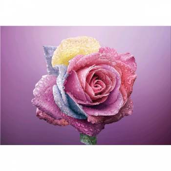 Marco COLOR ROSA G5268 PINTDECOR