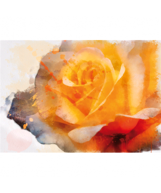 Marco ROSA AMARILLA G4240 PINTDECOR