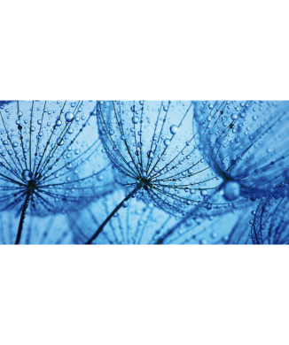 Marco DEW G1900 PINTDECOR