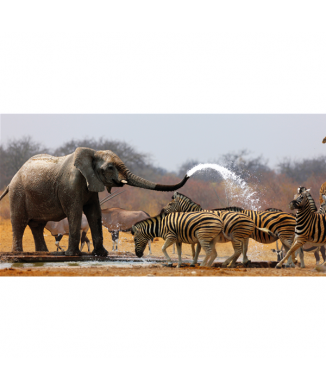 Marco SAVANNA G1514 PINTDECOR