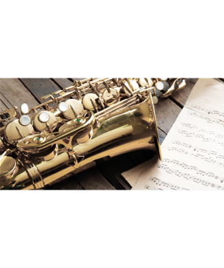 Cuadro SAX G2938 PINTDECOR