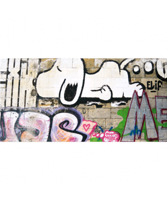 Cuadro SNOOPY G5454 PINTDECOR