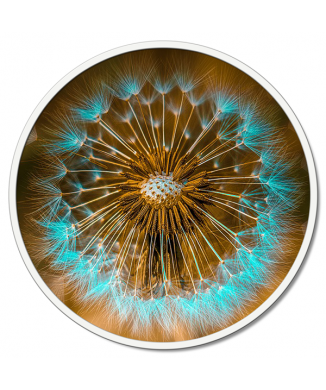 CABEZAL DE DUCHA TURQUESA Quadro PINTDECOR GT6224