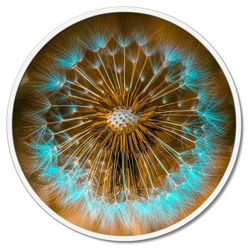 CABEZAL DE DUCHA TURQUESA Quadro PINTDECOR GT6224