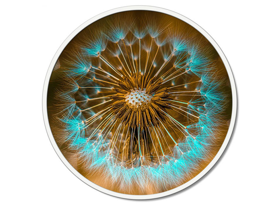 CABEZAL DE DUCHA TURQUESA Quadro PINTDECOR GT6224