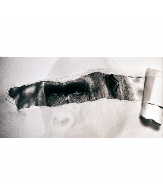 Marco TEAR G5928 PINTDECOR