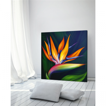 Marco STRELITZIA G1114 PINTDECOR