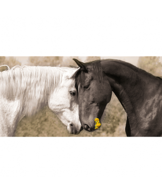 Marco TERNURA G3306 PINTDECOR